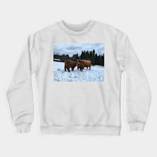 Scottish Highland Cattle Calves and Cow 1603 Crewneck Sweatshirt